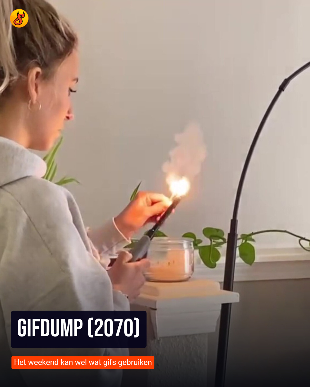 Gifdump (2070)