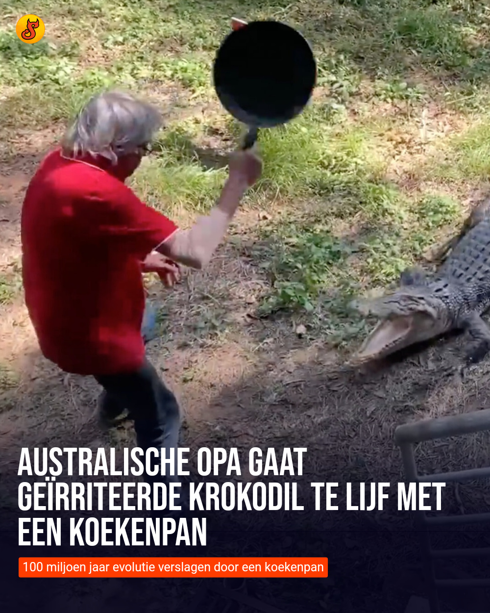 Australische opa gaat geïrriteerde krokodil te lijf met een koekenpan