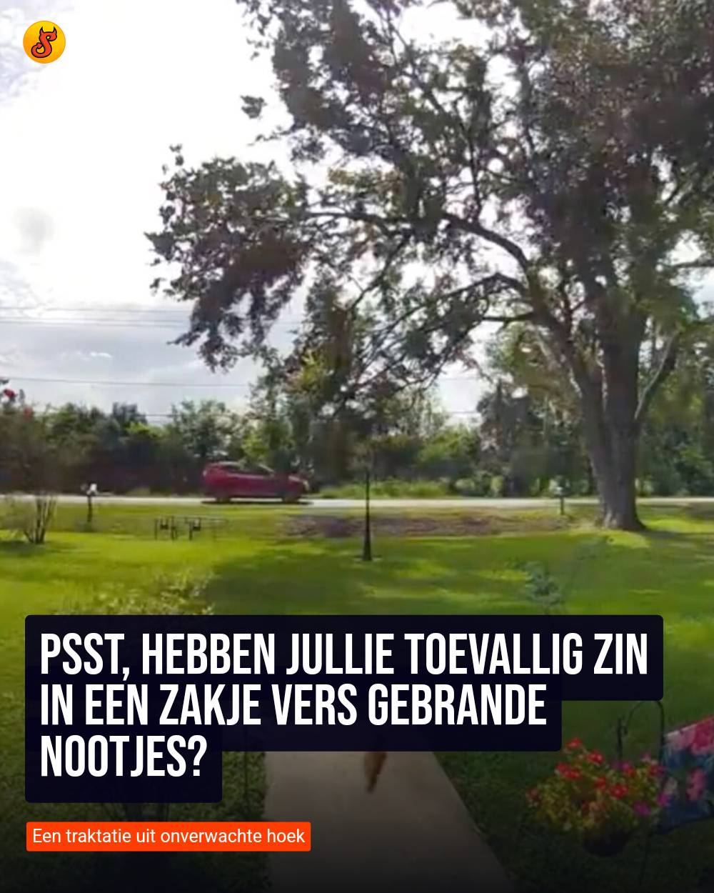 Psst, hebben jullie toevallig zin in een zakje vers gebrande nootjes?