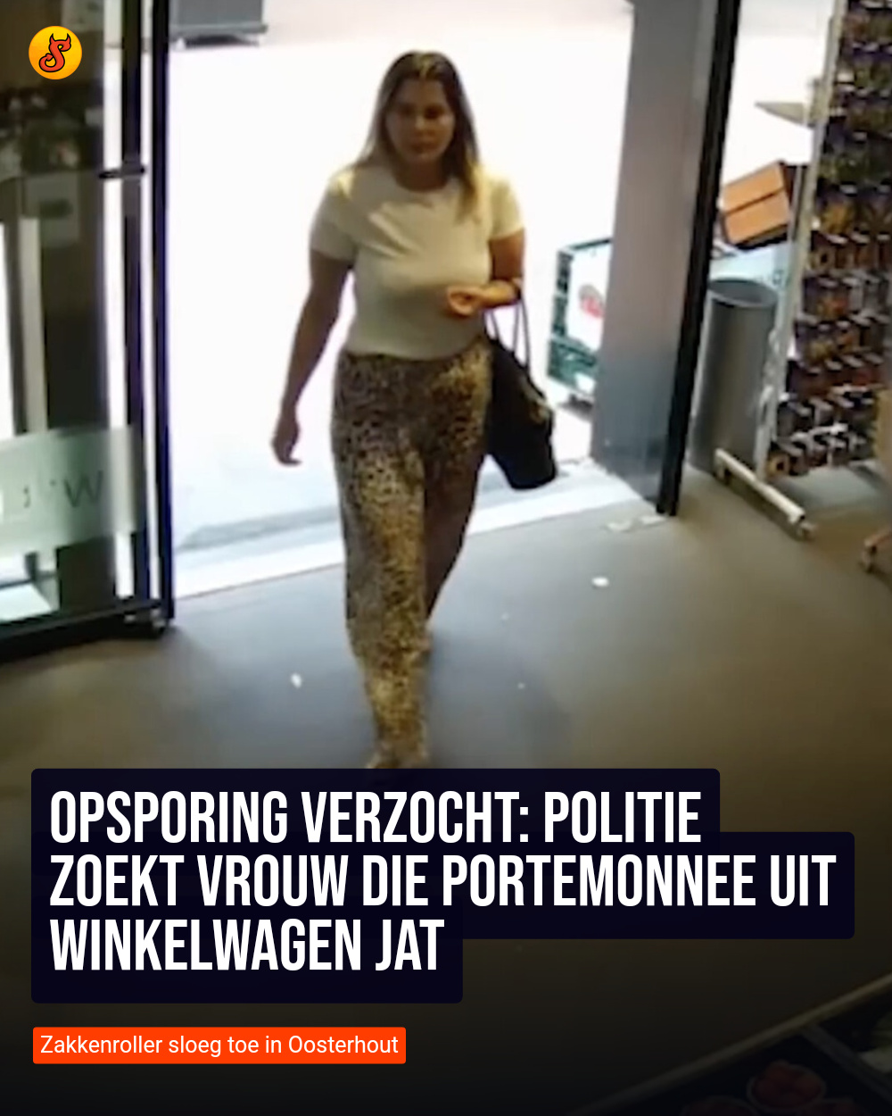 Opsporing verzocht: Politie zoekt vrouw die portemonnee uit winkelwagen jat