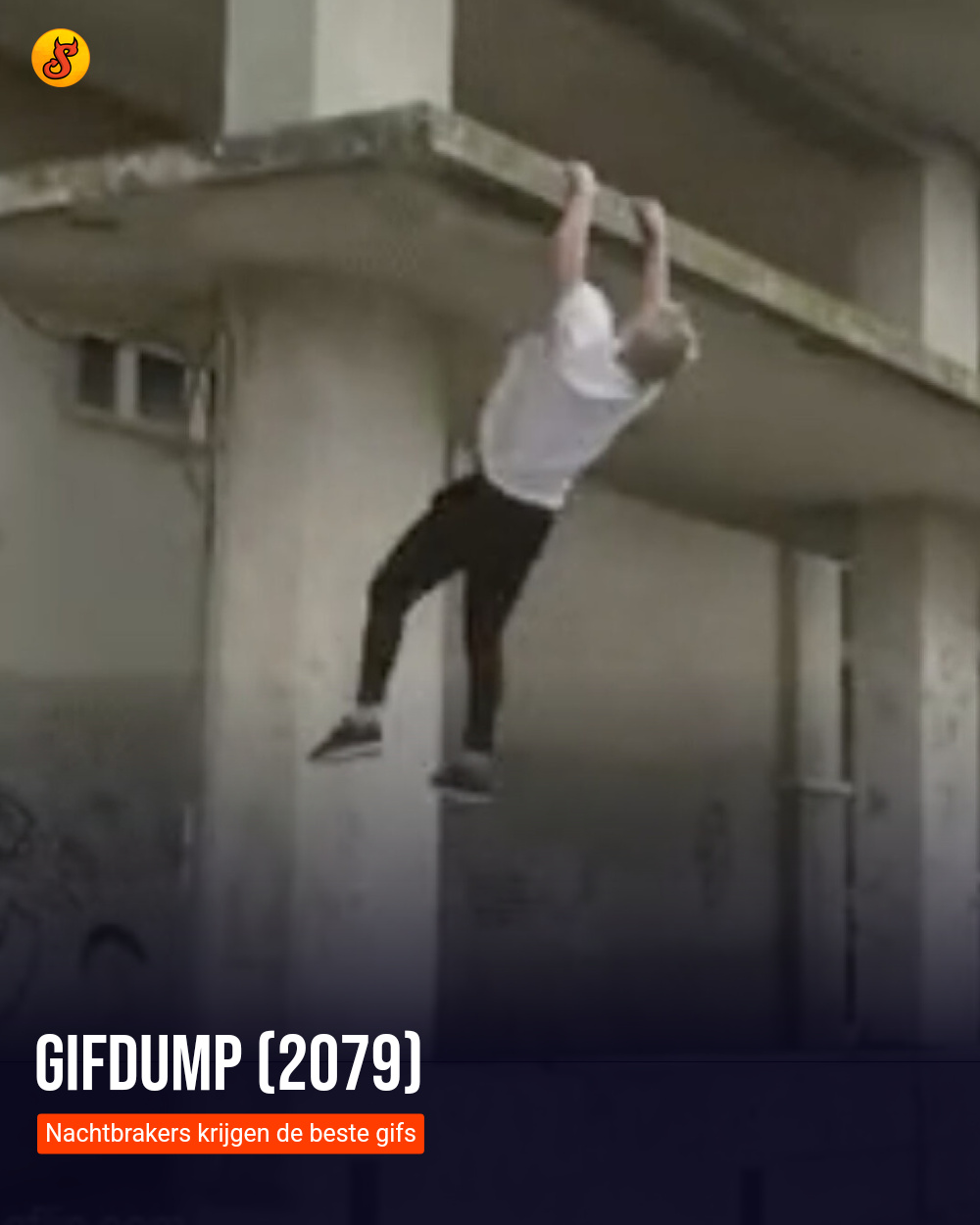 Gifdump (2079)
