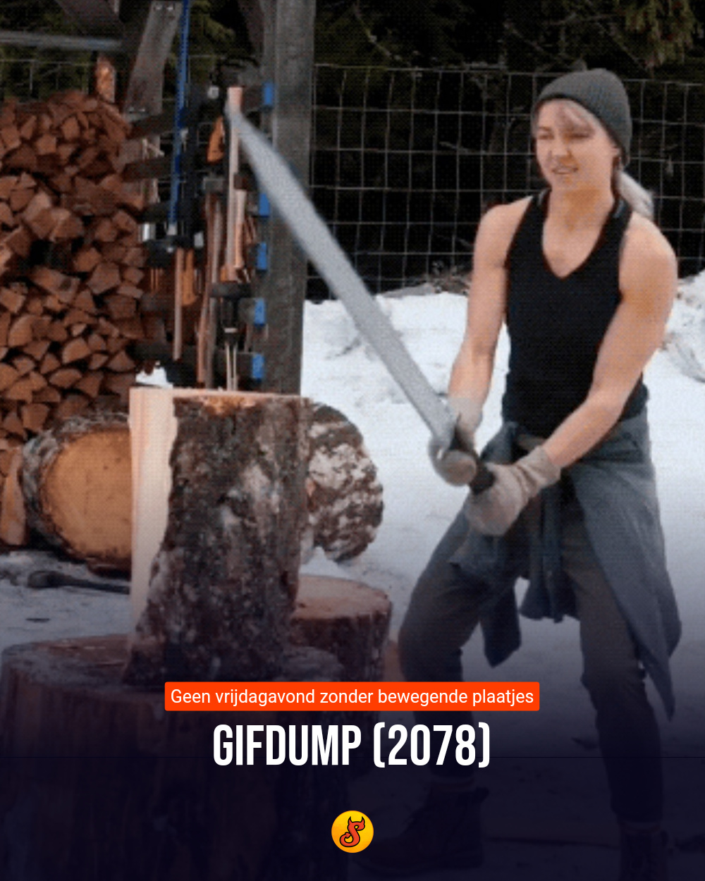 Gifdump (2078)