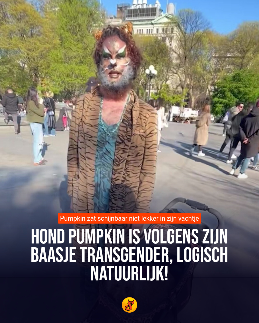 Hond Pumpkin is volgens zijn baasje transgender, logisch natuurlijk!