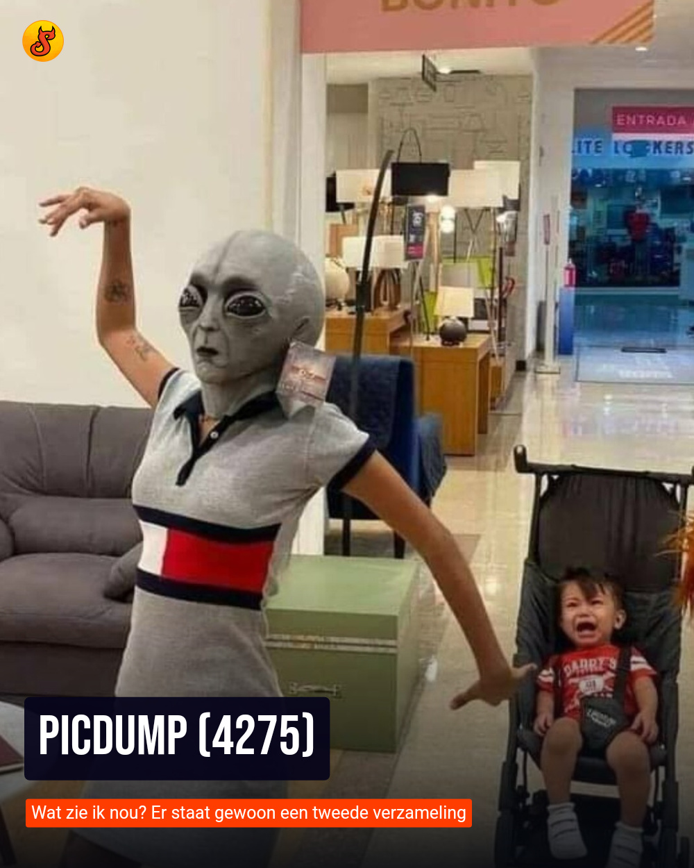 Picdump (4275)