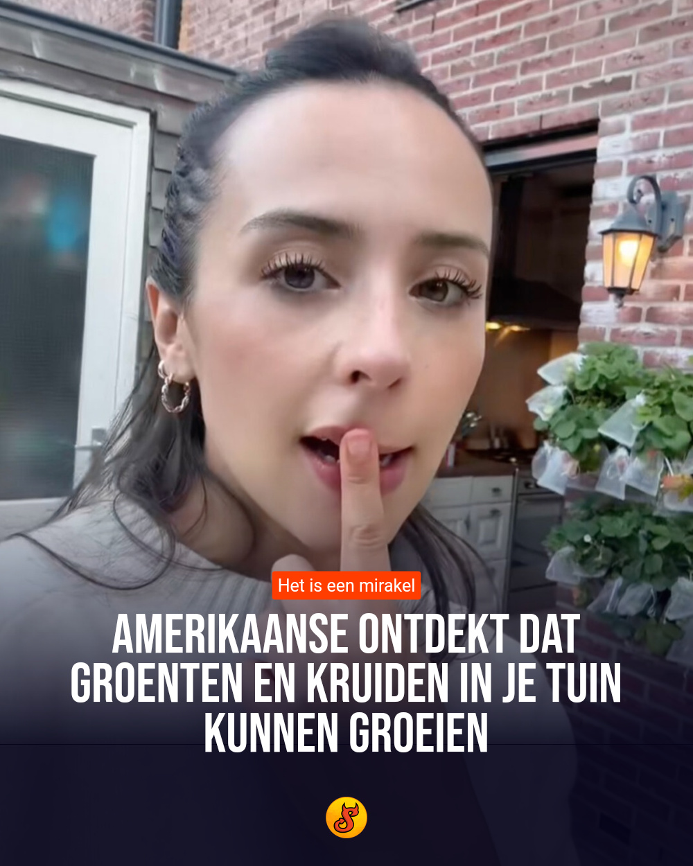 Amerikaanse ontdekt dat groenten en kruiden in je tuin kunnen groeien