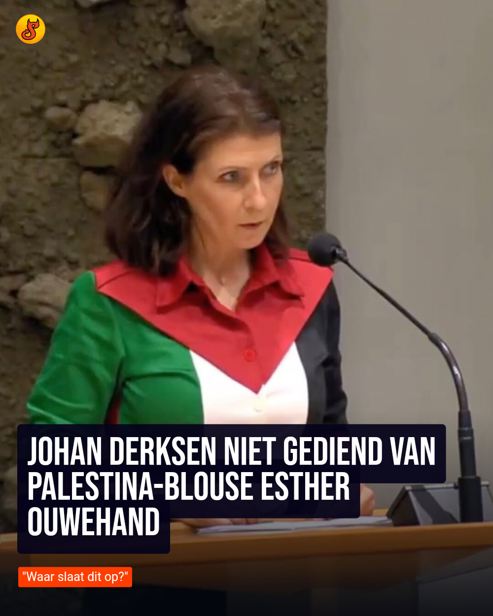 Johan Derksen niet gediend van Palestina-blouse Esther Ouwehand