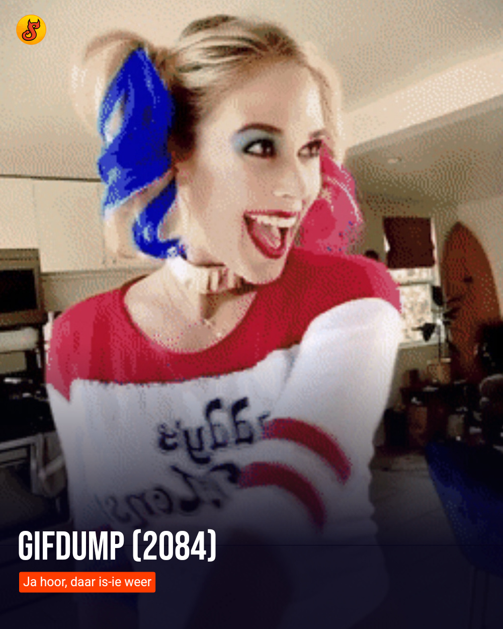 Gifdump (2084)