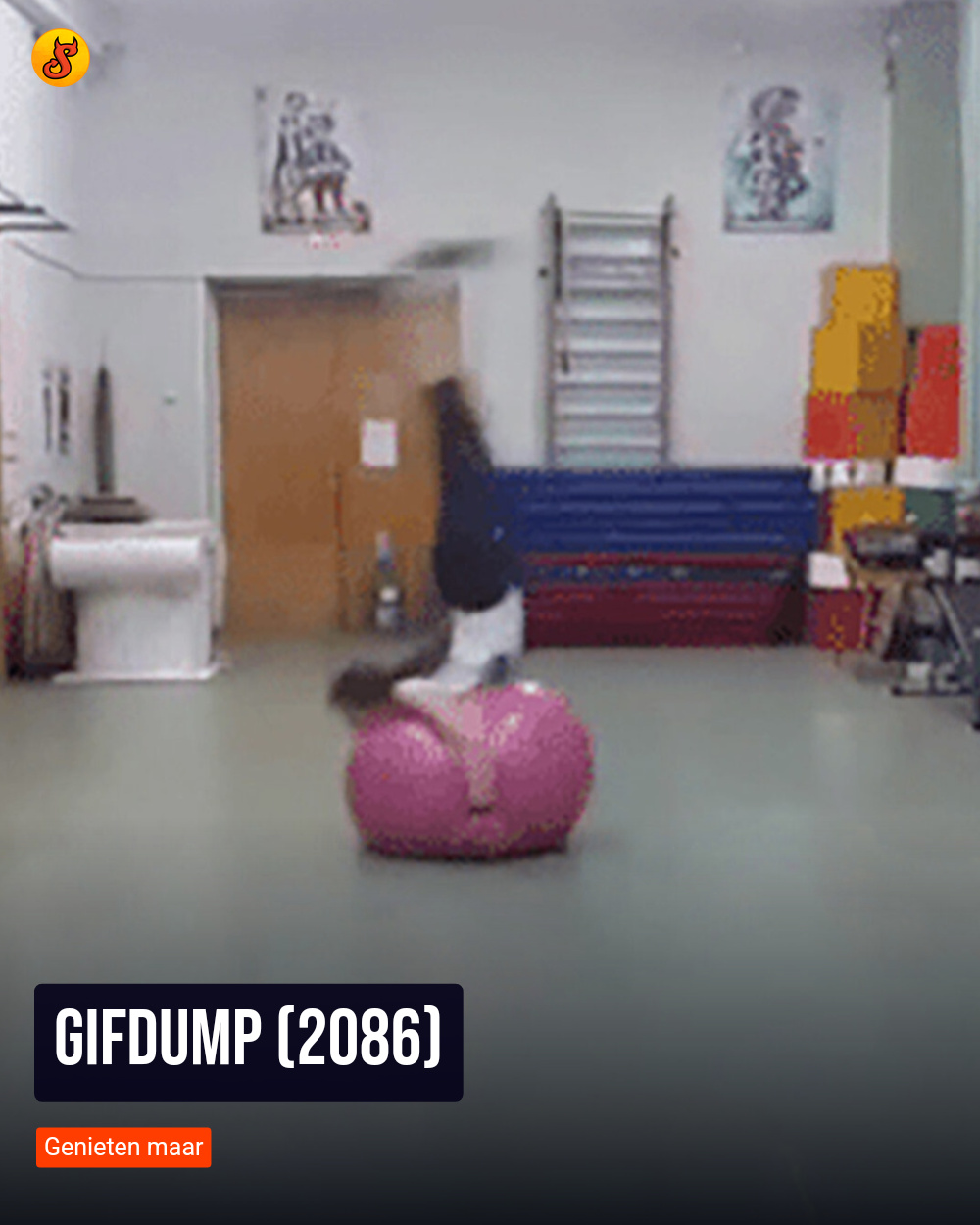 Gifdump (2086)