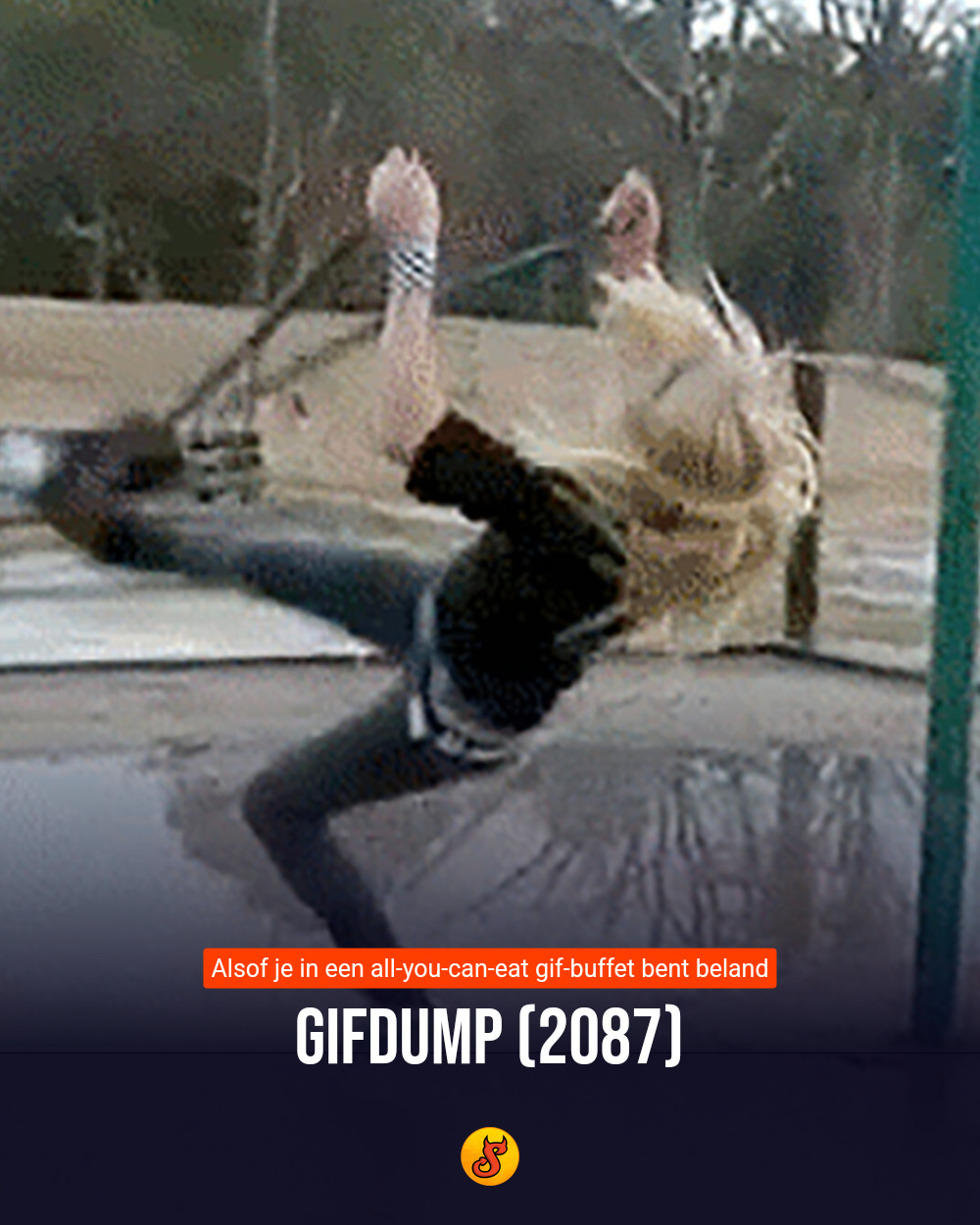 Gifdump (2087)