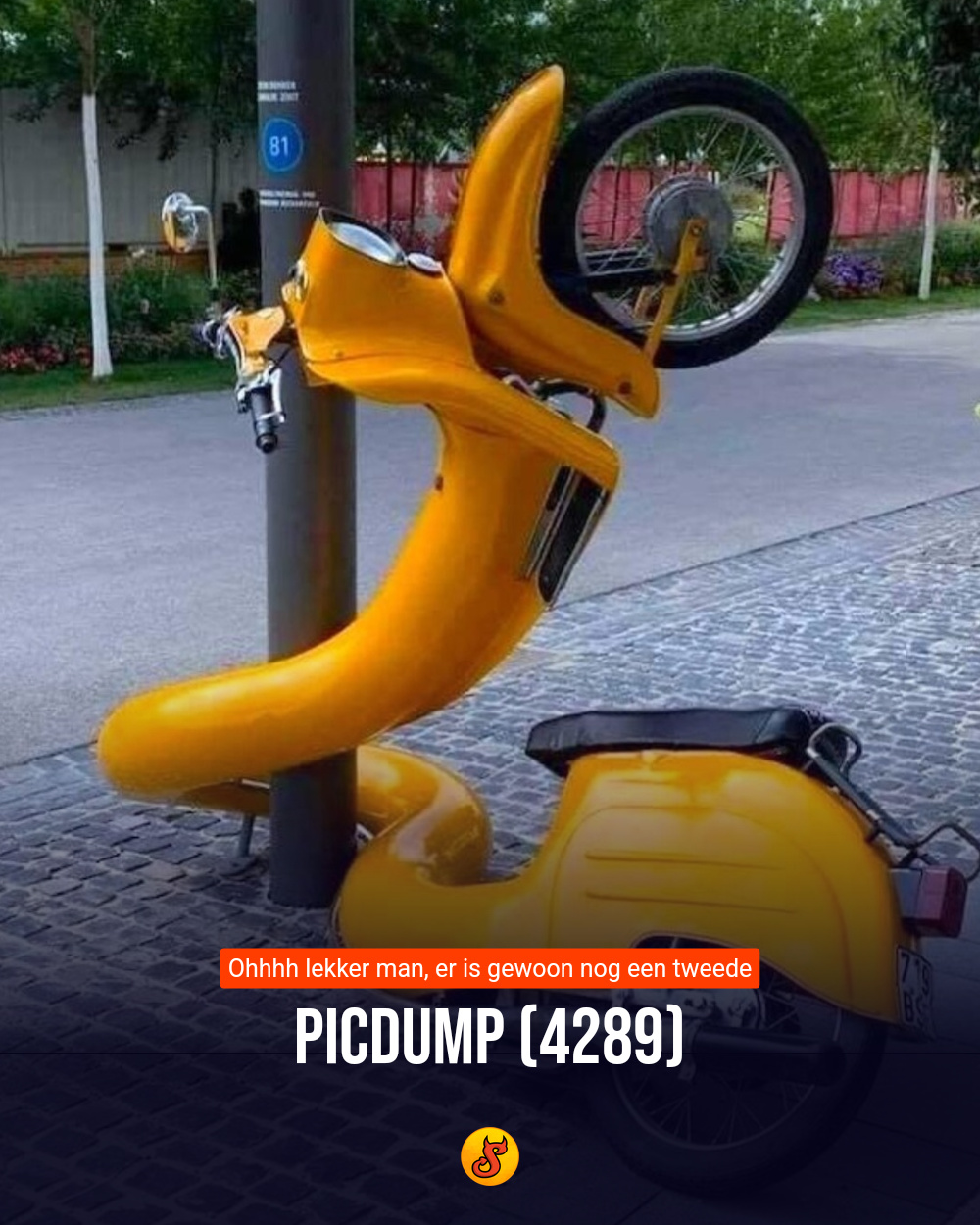 Picdump (4289)