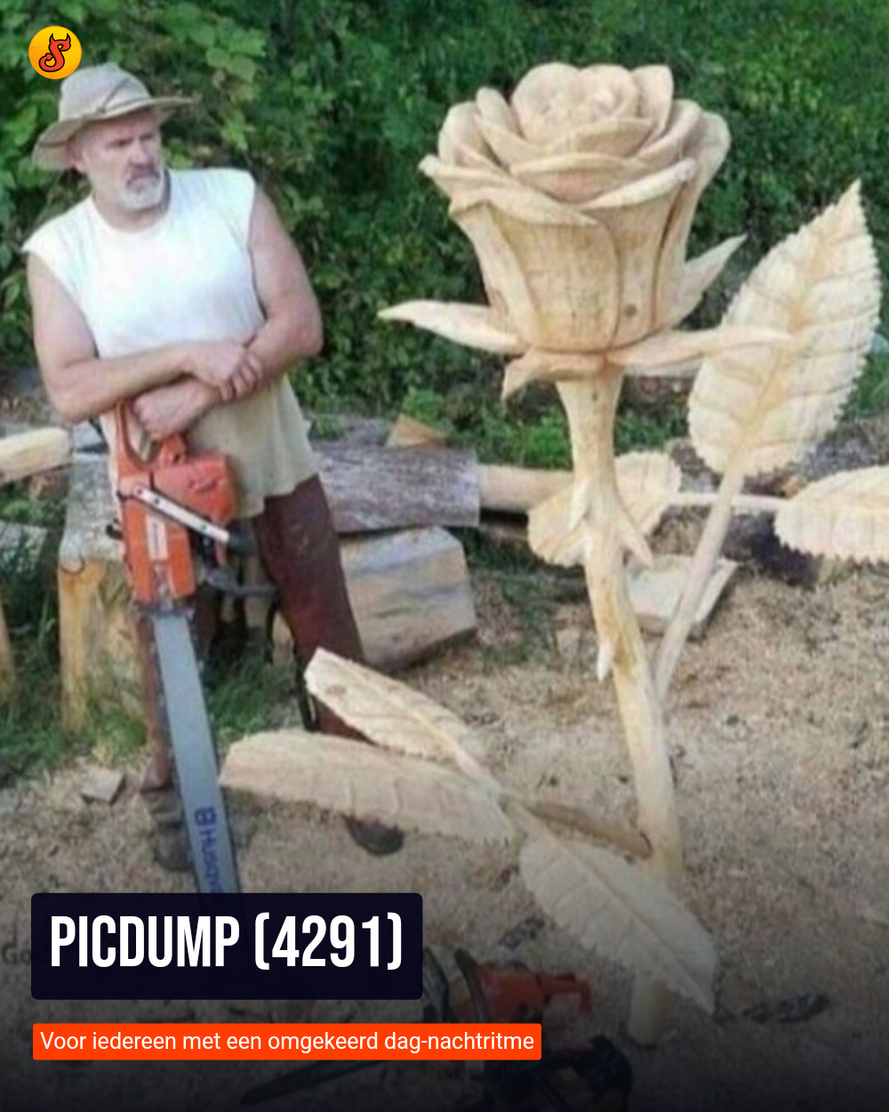 Picdump (4291)