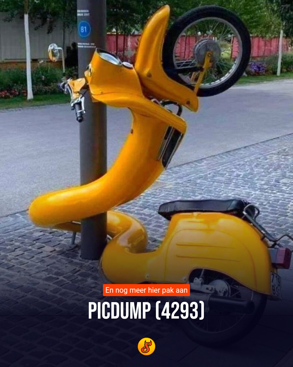 Picdump (4293)