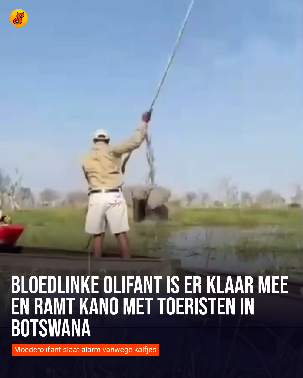 Bloedlinke olifant is er klaar mee en ramt kano met toeristen in Botswana