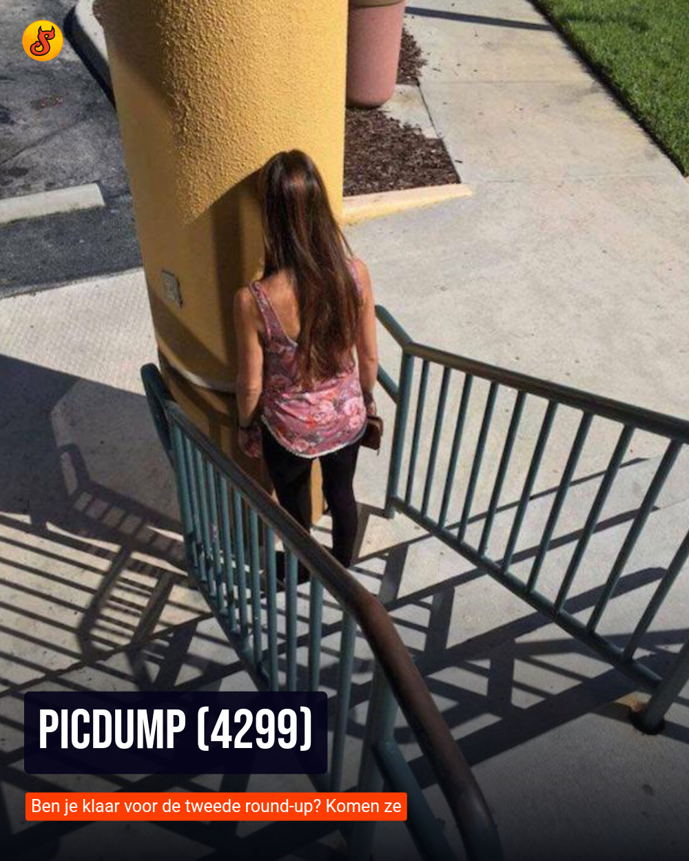 Picdump (4299)