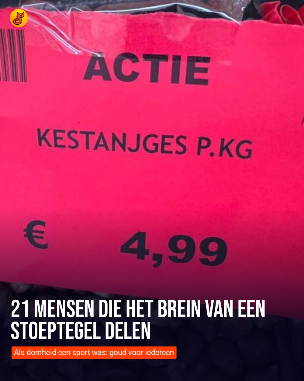 21 mensen die het brein van een stoeptegel delen