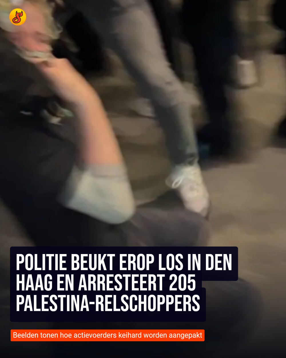 Politie beukt erop los in Den Haag en arresteert 205 Palestina-relschoppers