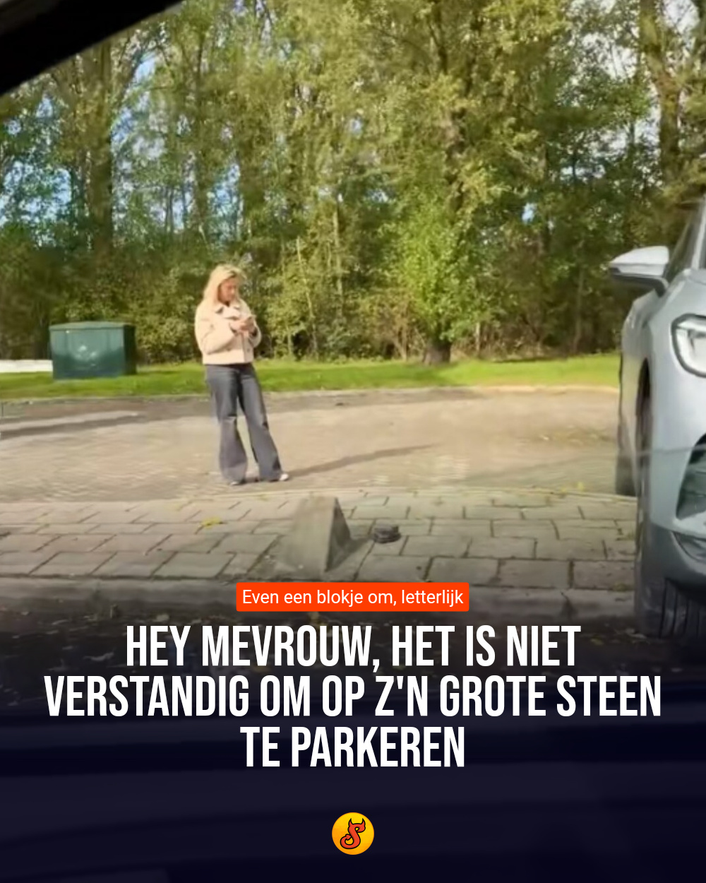 Hey mevrouw, het is niet verstandig om op z'n grote steen te parkeren