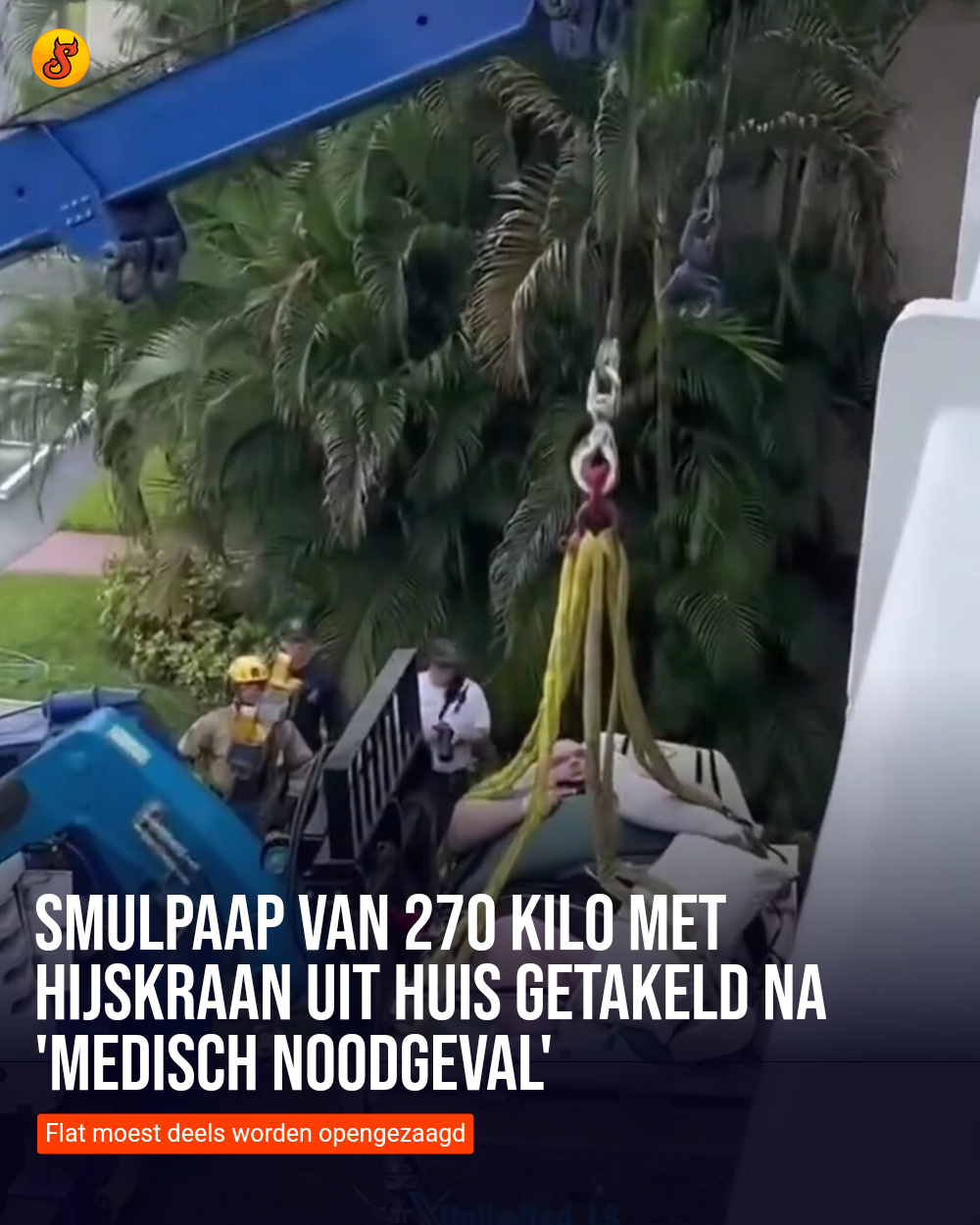 Smulpaap van 270 kilo met hijskraan uit huis getakeld na 'medisch noodgeval'