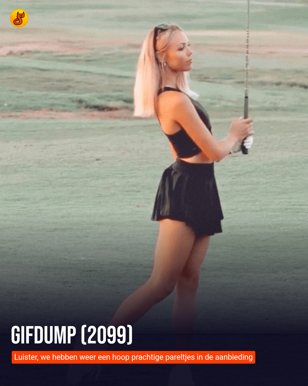 Gifdump (2099)