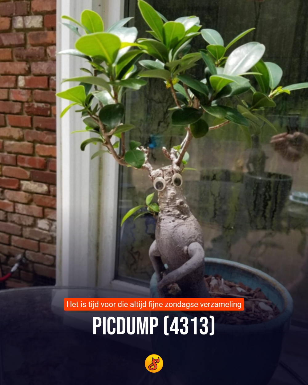Picdump (4313)