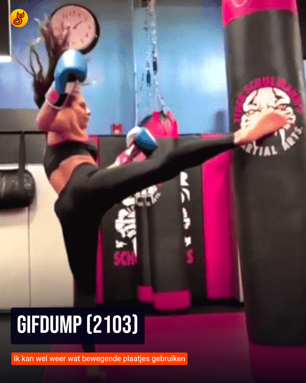 Gifdump (2103)