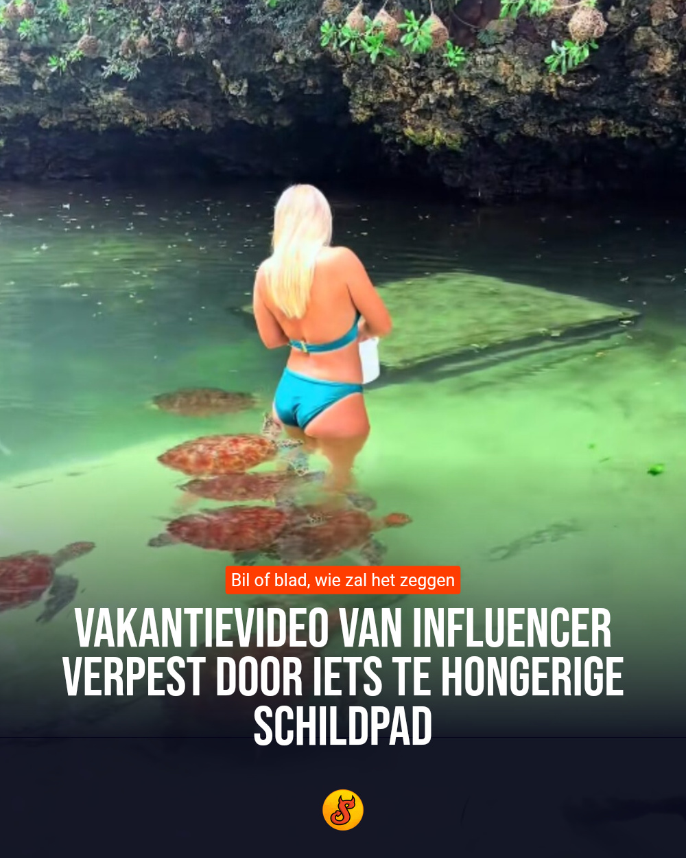 Vakantievideo van influencer verpest door iets te hongerige schildpad