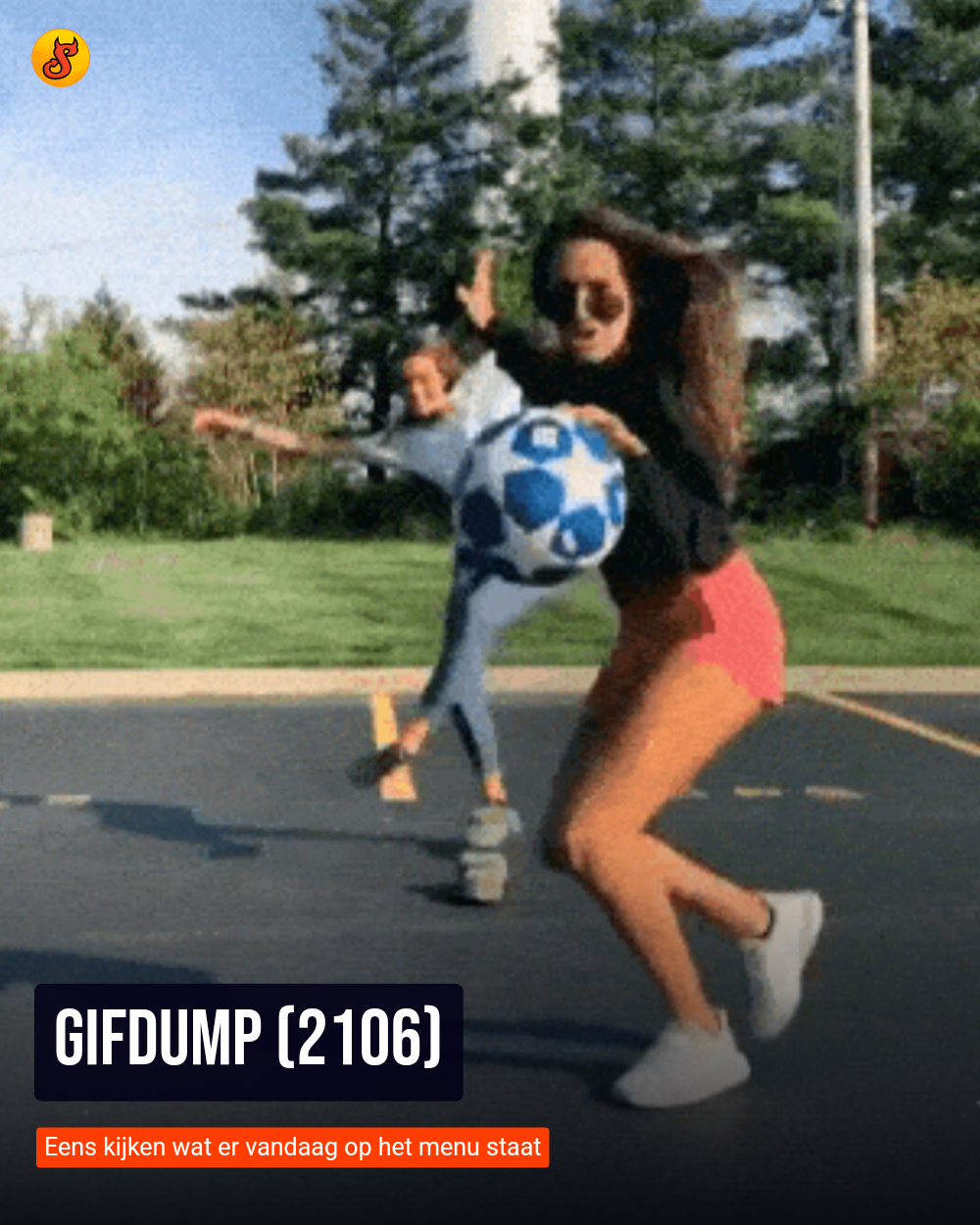 Gifdump (2106)