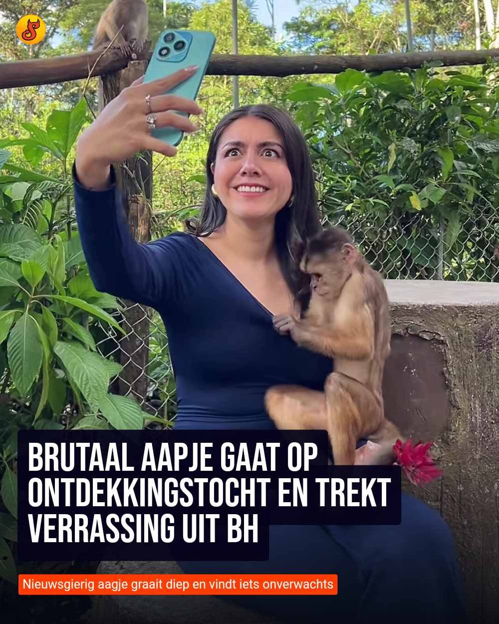 Brutaal aapje gaat op ontdekkingstocht en trekt verrassing uit bh