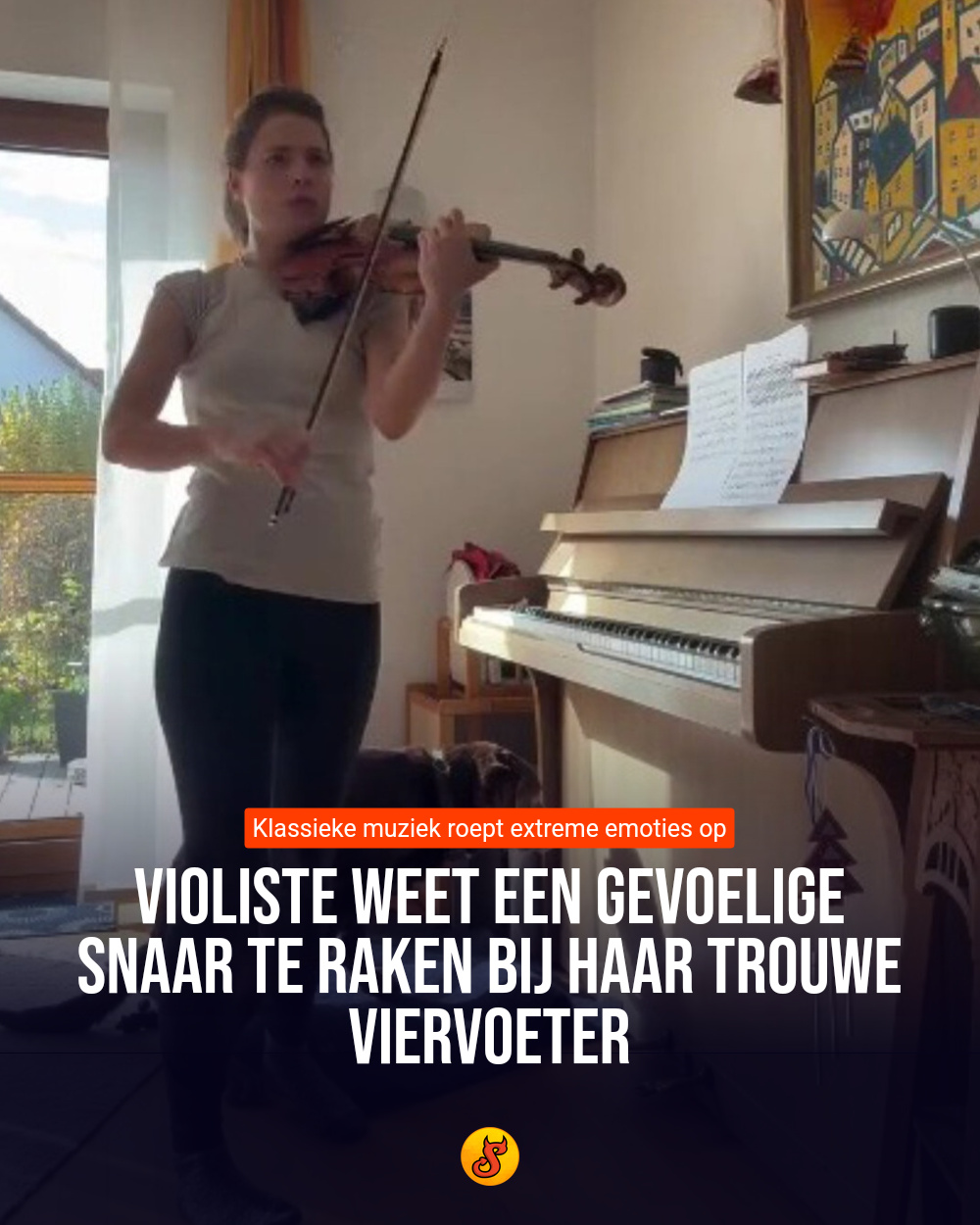 Violiste weet een gevoelige snaar te raken bij haar trouwe viervoeter
