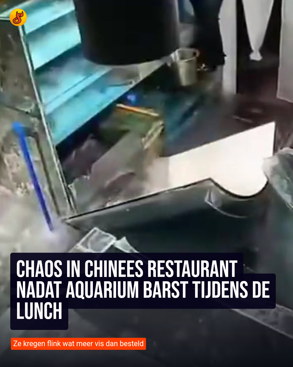 Chaos in Chinees restaurant nadat aquarium barst tijdens de lunch