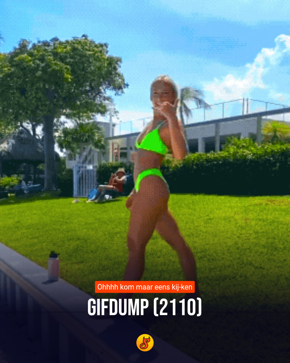 Gifdump (2110)