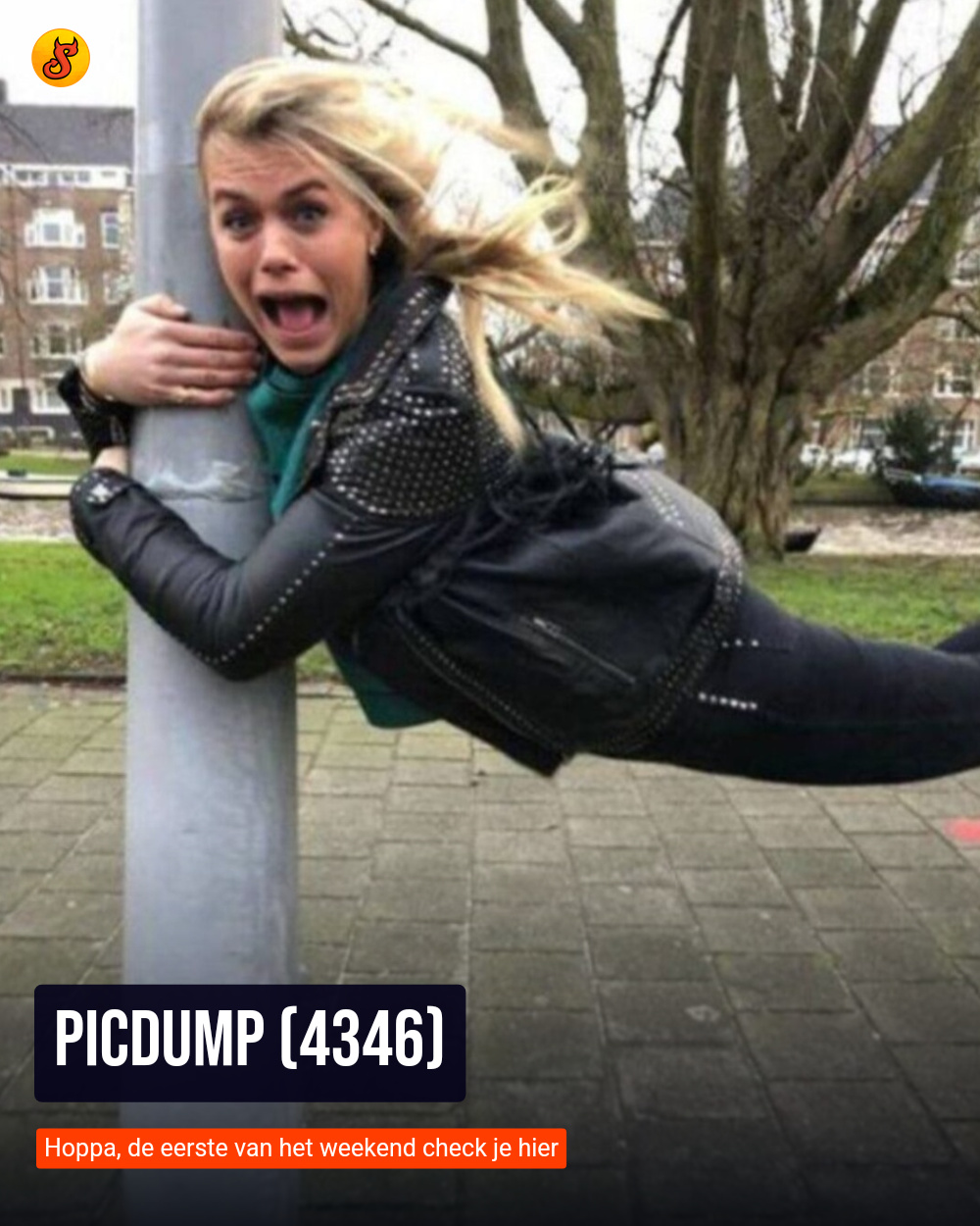 Picdump (4346)
