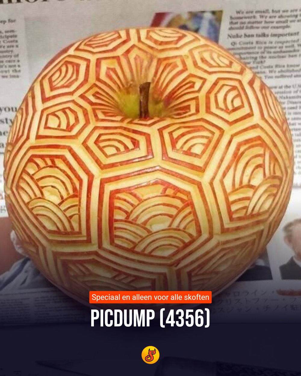 Picdump (4356)