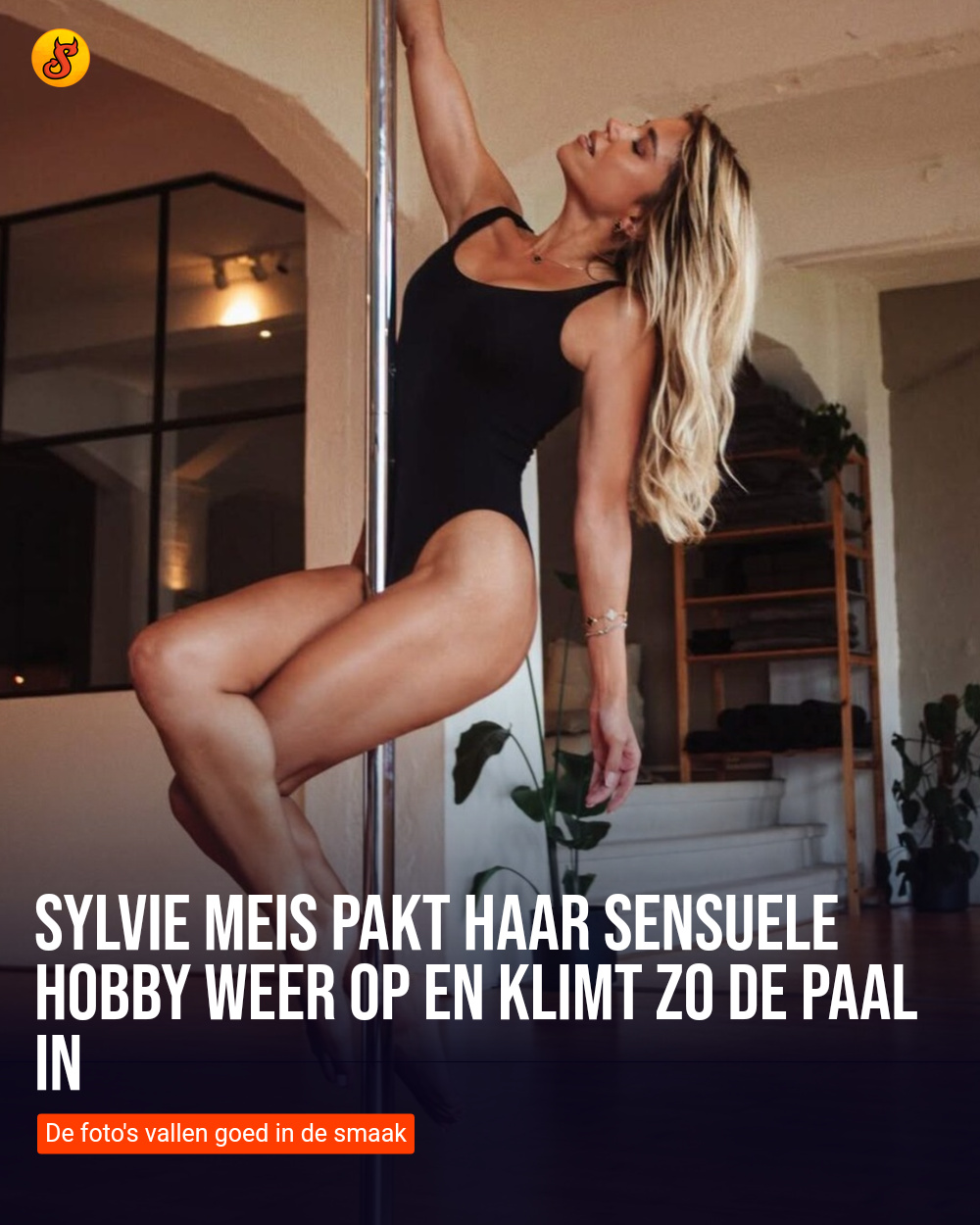 Sylvie Meis pakt haar sensuele hobby weer op en klimt zo de paal in