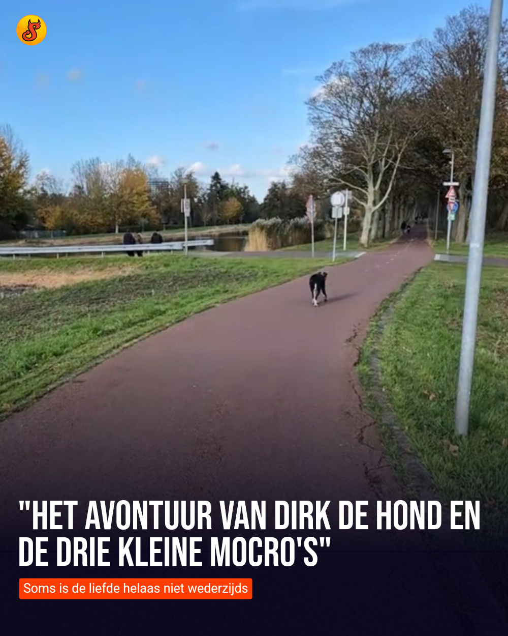"Het avontuur van Dirk de hond en de drie kleine mocro's"