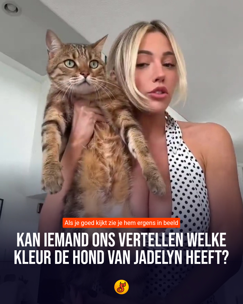 Kan iemand ons vertellen welke kleur de hond van Jadelyn heeft?