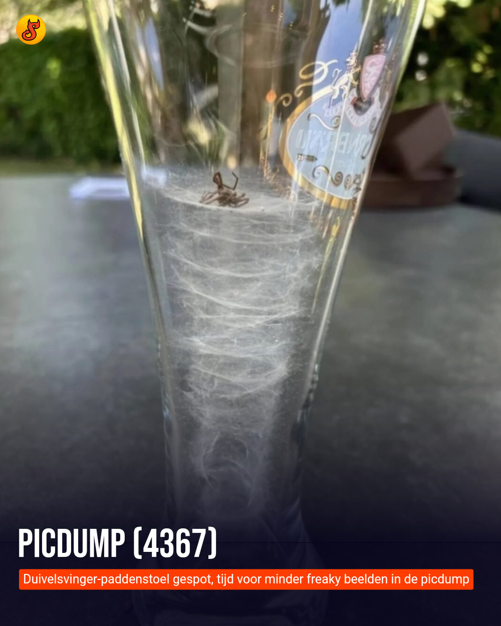 Picdump (4367)