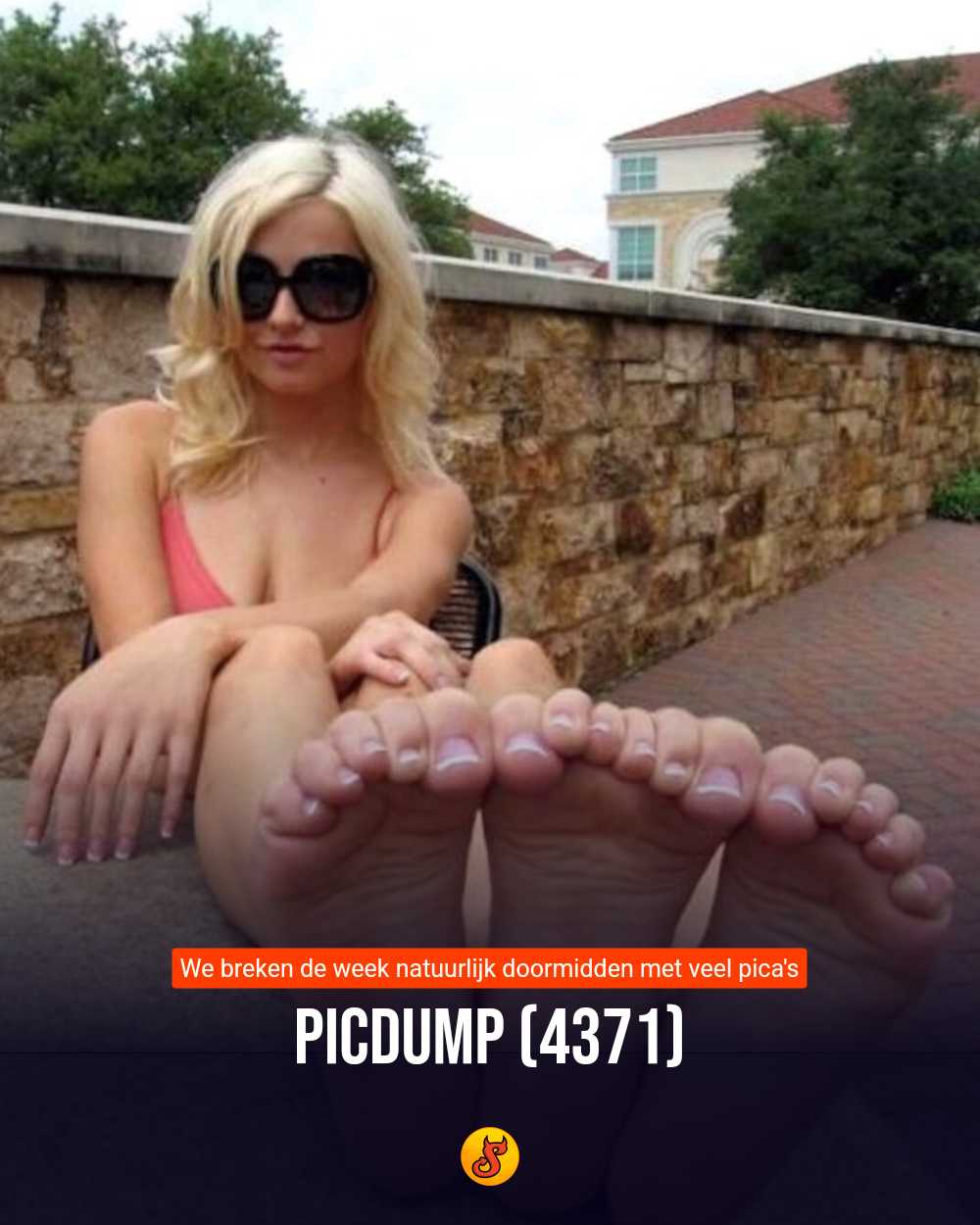 Picdump (4371)