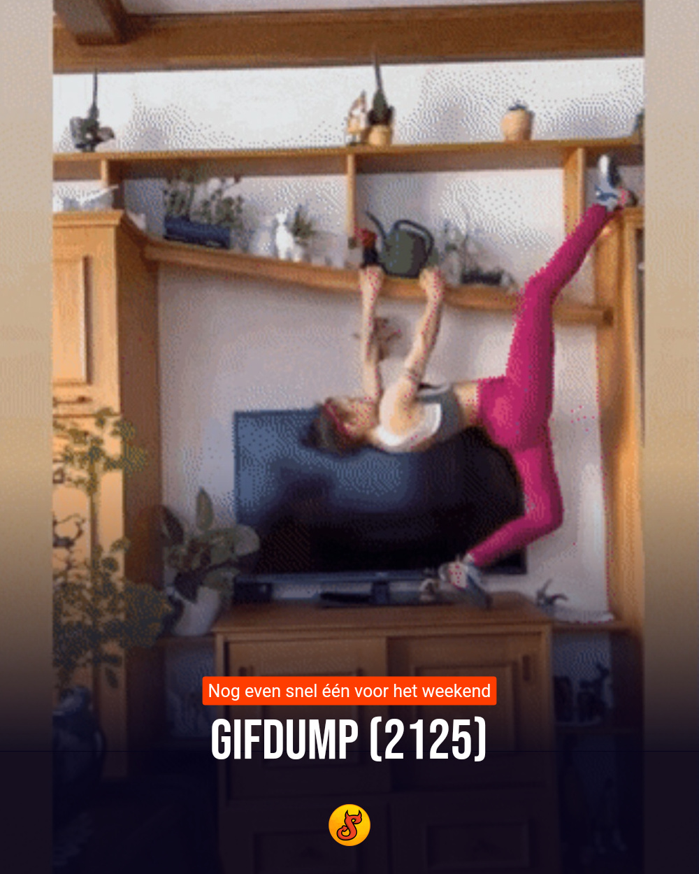 Gifdump (2125)