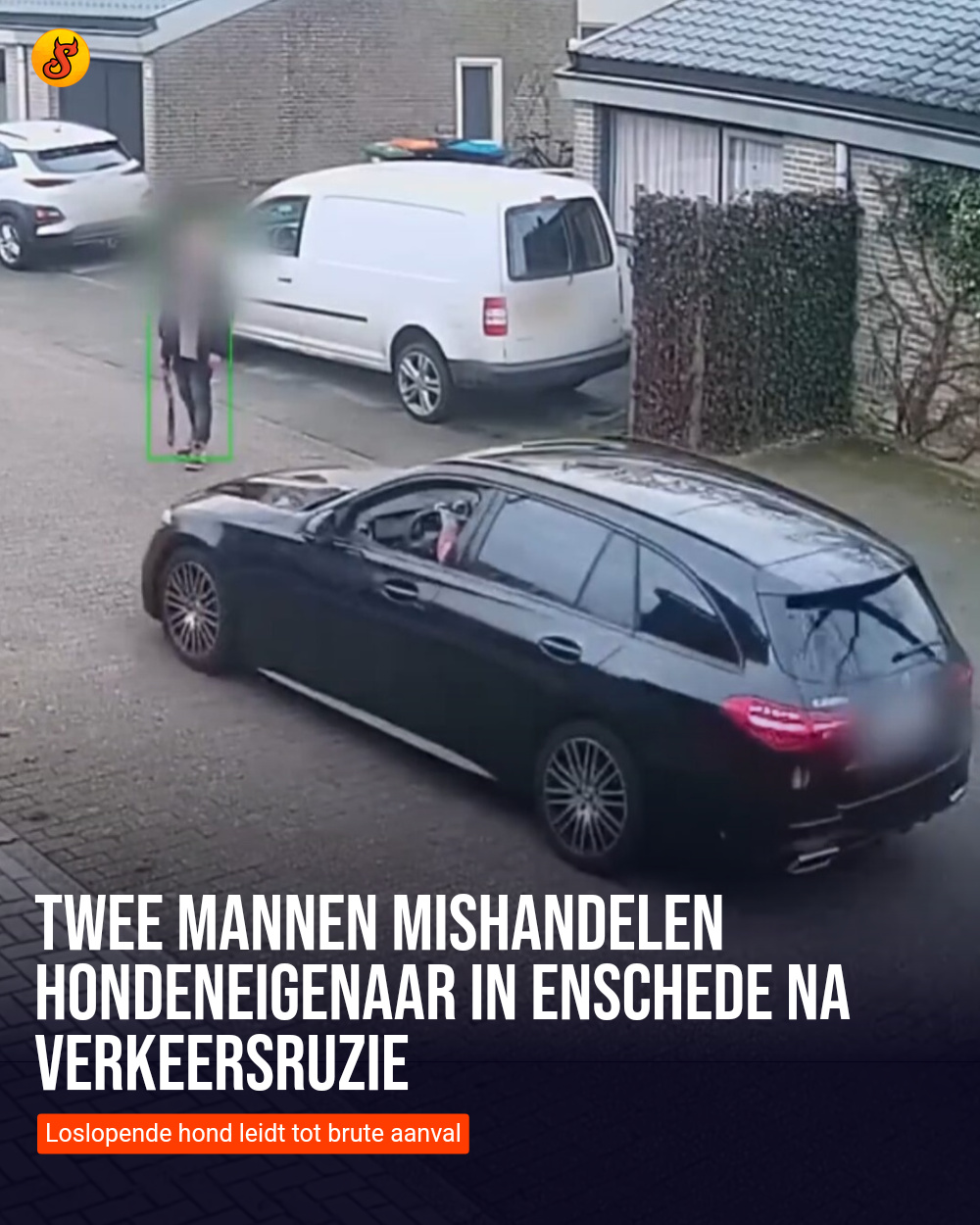 Twee mannen mishandelen hondeneigenaar in Enschede na verkeersruzie