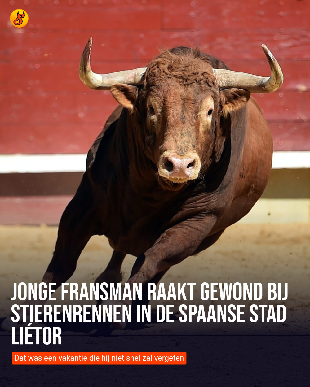 Jonge Fransman raakt gewond bij stierenrennen in de Spaanse stad Liétor