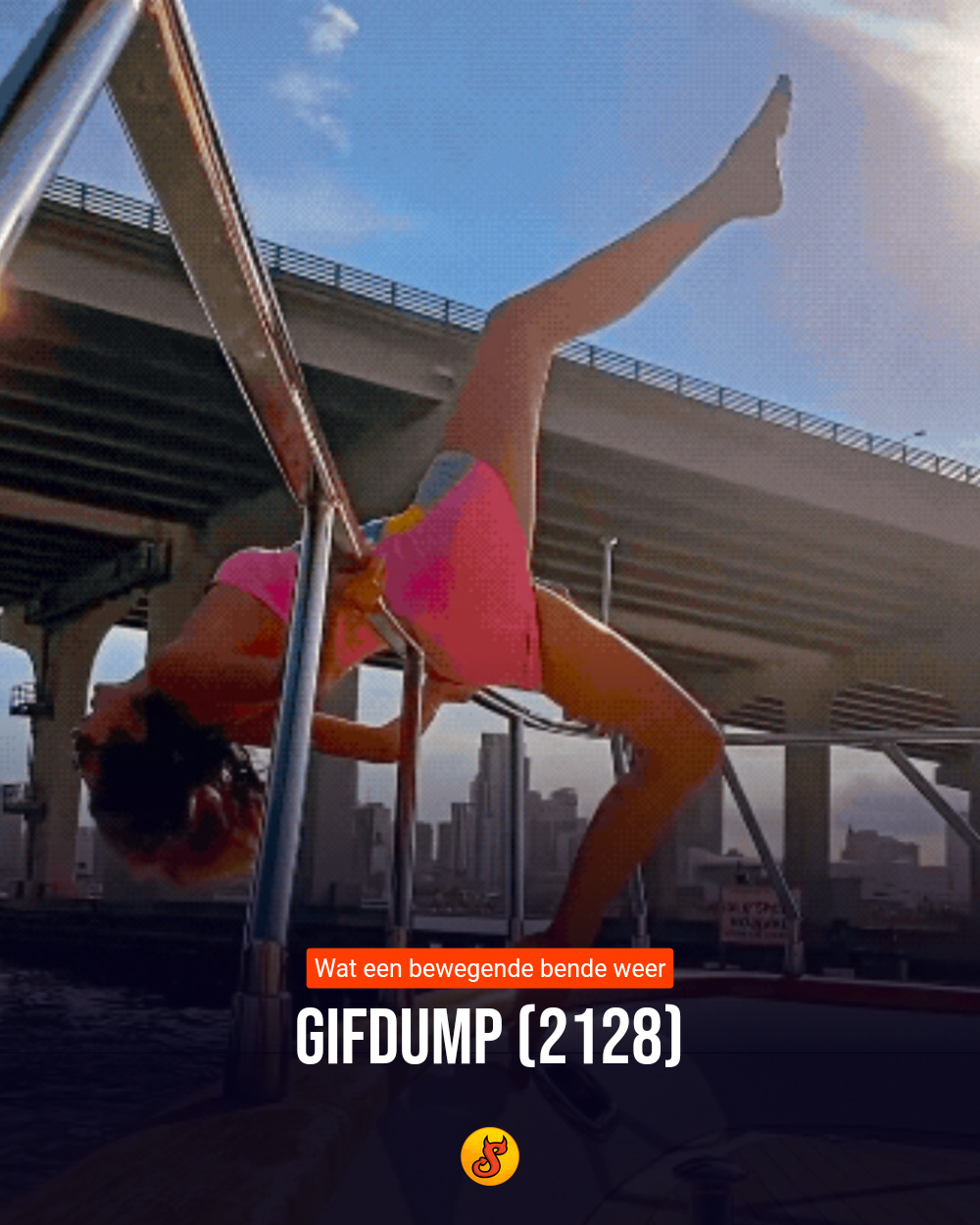 Gifdump (2128)