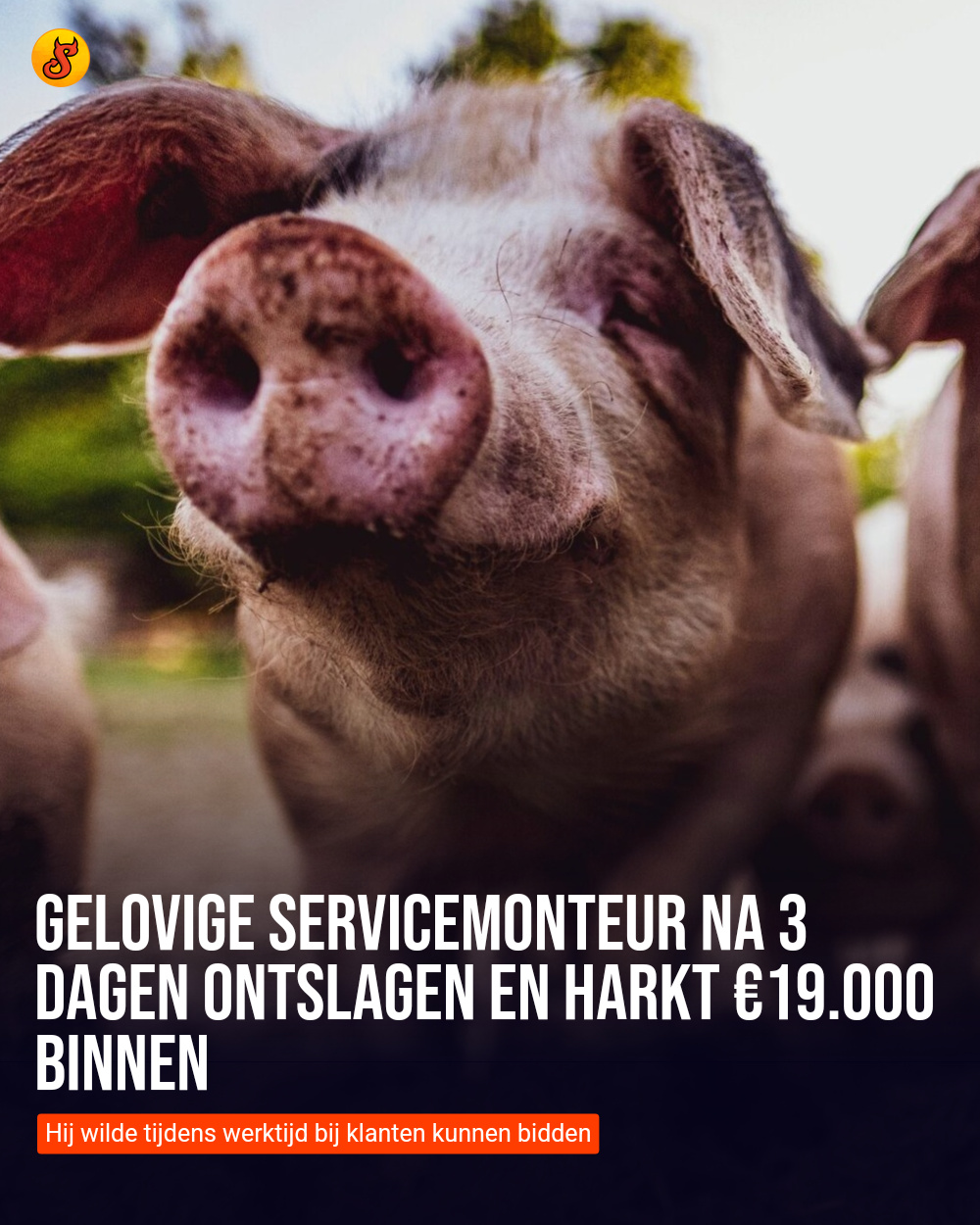 Gelovige servicemonteur na 3 dagen ontslagen en harkt €19.000 binnen