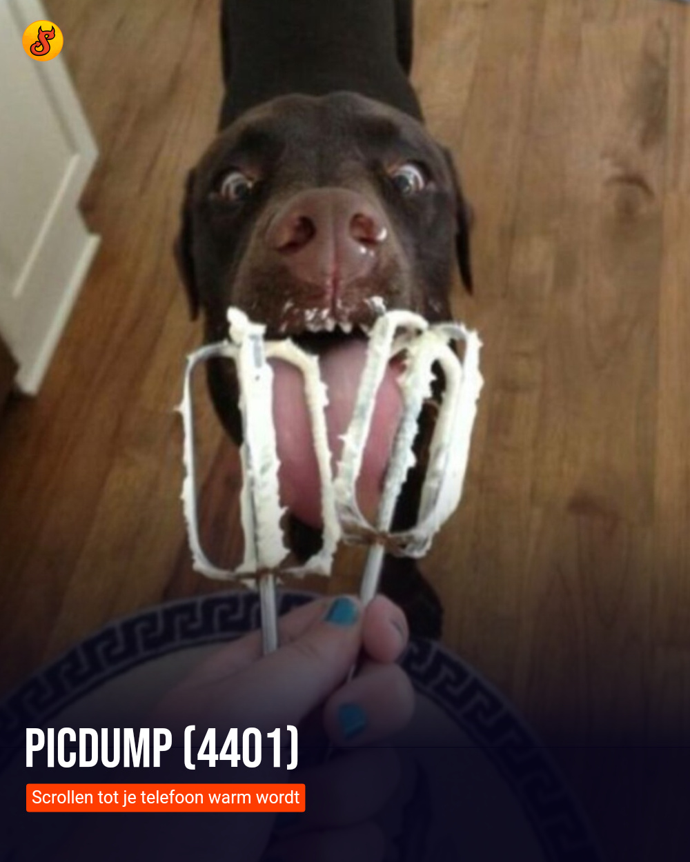 Picdump (4401)