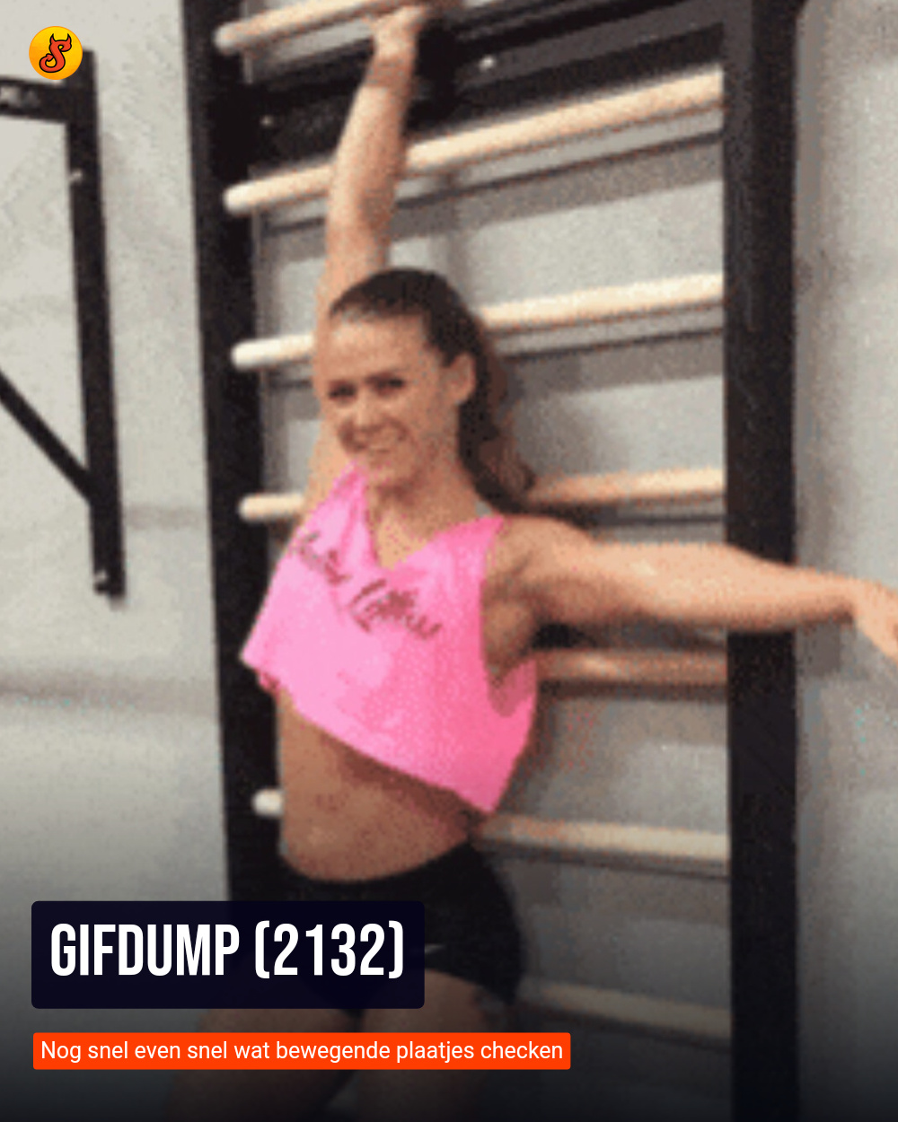Gifdump (2132)