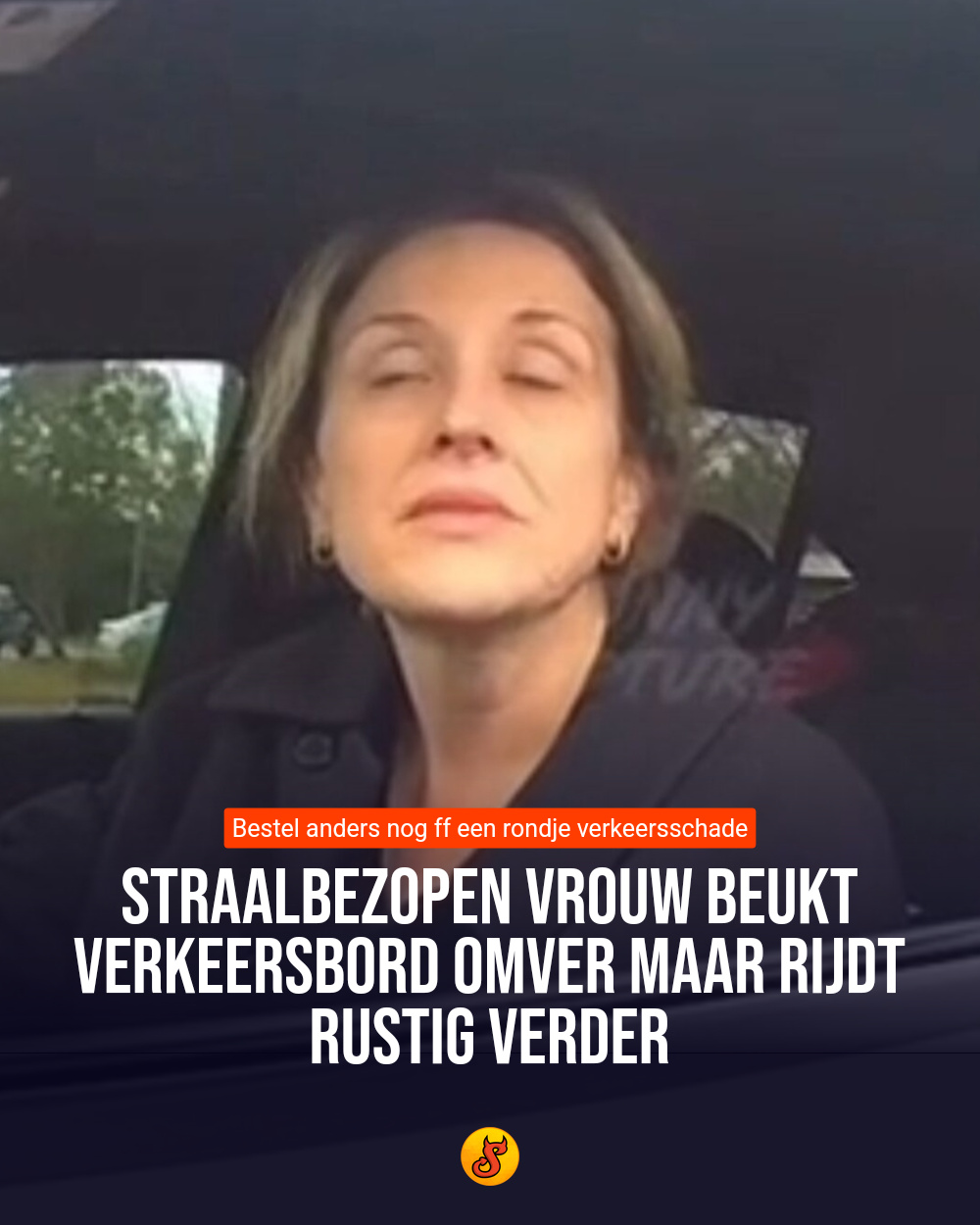 Straalbezopen vrouw beukt verkeersbord omver maar rijdt rustig verder
