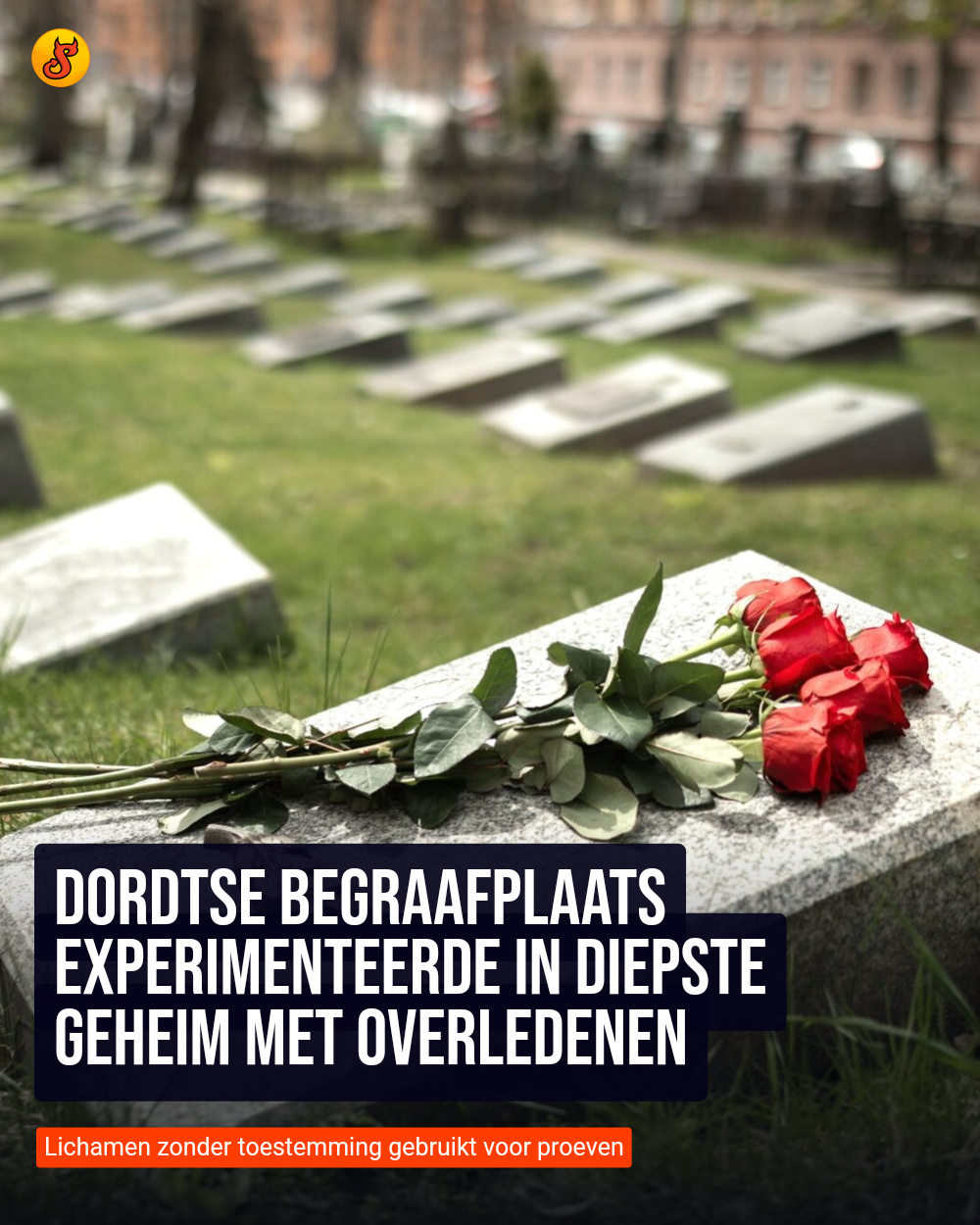 Dordtse begraafplaats experimenteerde in diepste geheim met overledenen