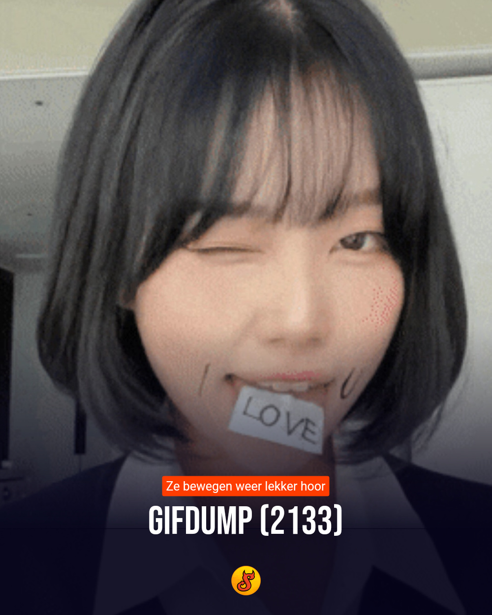 Gifdump (2133)