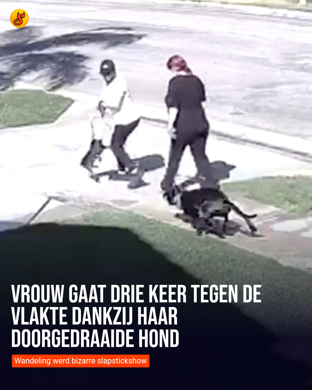 Vrouw gaat drie keer tegen de vlakte dankzij haar doorgedraaide hond