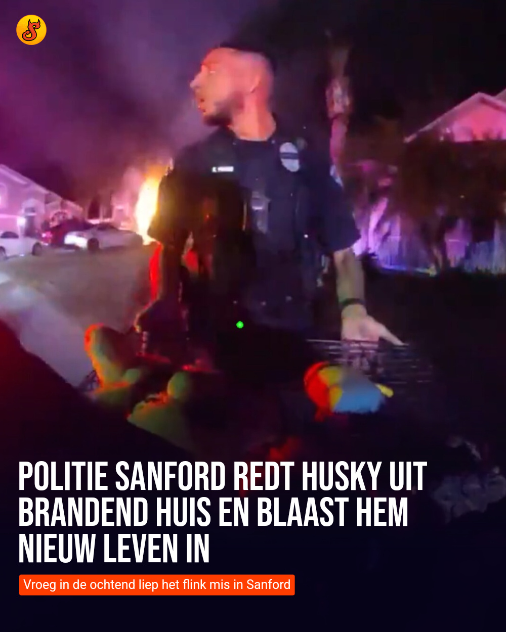 Politie Sanford redt husky uit brandend huis en blaast hem nieuw leven in